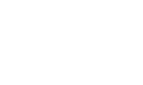 Carbones Andinos